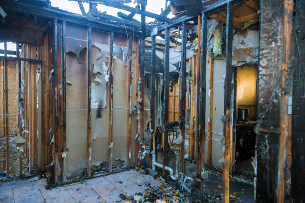 Professional Fire Damage Repair technician working in Gaylord, MN